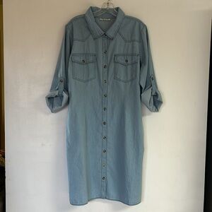 #073 Speed Limit Denim Dress